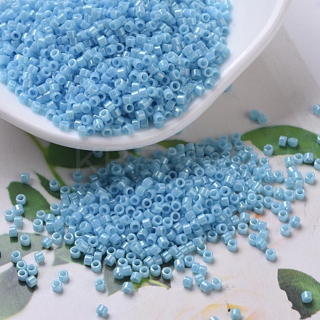 MIYUKI Delica Beads X-SEED-J020-DB0215-1