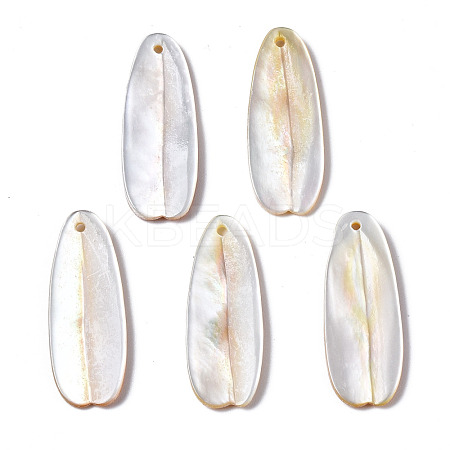 Natural Yellow Shell Pendants SHEL-N026-160B-1