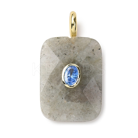 Natural Labradorite Faceted Pendants X-G-B186-01G-01-1