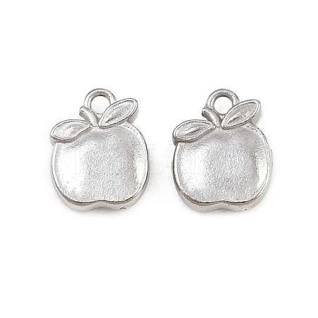 304 Stainless Steel Charms SA-CBAC865-04D-P-1