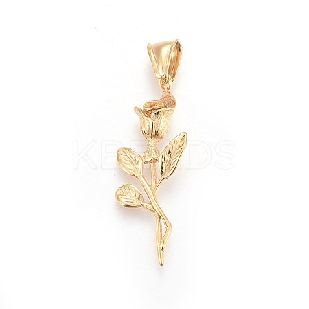 304 Stainless Steel Pendants STAS-F197-02G-1