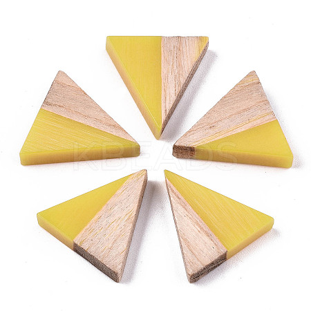 Translucent Resin & Wood Cabochons LS-CRES-N028-001A-A07-1