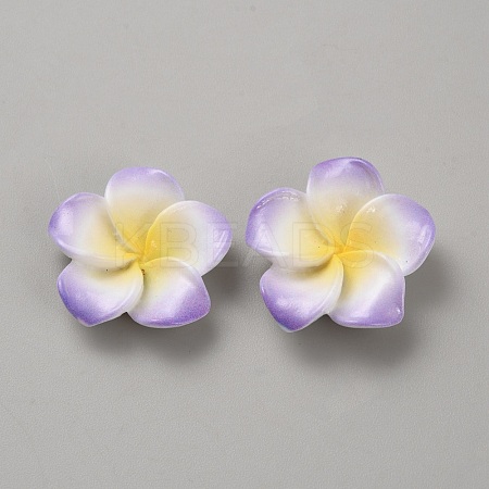 Two Tone Resin Cabochons RESI-WH20010-01A-1