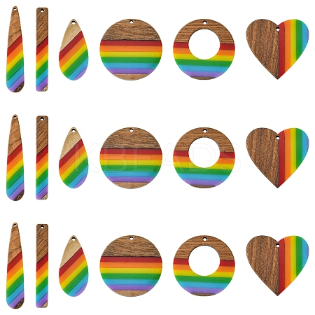 12Pcs 6 Styles Pride Rainbow Theme Resin & Walnut Wood Pendants WOOD-FS0001-32-1
