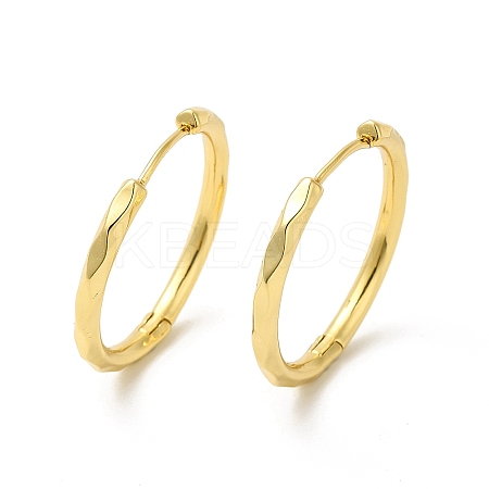 Rack Plating Brass Hinged Hoop Earrings for Women EJEW-E270-30G-1