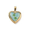 304 Stainless Steel Locket Pendants STAS-H255-02G-15-1