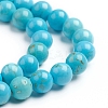 Natural Magnesite Beads Strands G-E559-01C-3