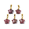 Natural Rhodonite Charms G-N326-142-05-2