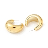 Arch Acrylic Stud Earrings EJEW-P251-17A-2