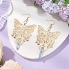 Natural Quartz Crystal & Iron & Brass Dangle Earrings EJEW-TA00588-2