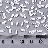 2-Hole Glass Seed Beads SEED-S031-S-SQ41-2