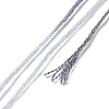 10 Skeins 6-Ply Polyester Embroidery Floss OCOR-K006-A62-3