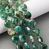 Dyed & Heated Natural Fire Crackle Agate Beads Strands G-C116-A177-01-1