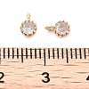 Brass Micro Pave Cubic Zirconia Charms KK-U028-19G-01-3