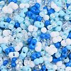 Glass Seed Beads SEED-K010-03D-2