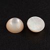 Natural White Shell Mother of Pearl Shell Cabochons SSHEL-G014-13-2