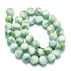 Natural Glass Beads Strands G-K245-A13-05-2