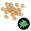 Luminous Transparent Acrylic Beads OACR-P037-01B-G-1