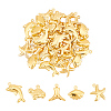 40Pcs 5 Style 304 Stainless Steel Charms Sets STAS-UN0045-81-1