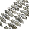 Natural Labradorite Double Terminated Point Beads Strands G-H069-B04-01-1