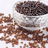 8/0 Glass Seed Beads SEED-A006-3mm-102C-1
