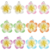 24Pcs 6 Colors Resin Pendants RESI-SC0006-06-1