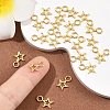 SHEGRACE Brass Star Charms XGR0160G-101G-5