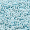 Macaron Color Opaque Frosted Glass Seed Beads X1-SEED-K009-12B-11-3