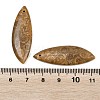 Natural Fossil Coral Pendants G-B187-01C-06-3