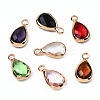 K9 Glass Charms GLAA-N038-21-4