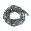 Natural Apatite Beads Strands G-RM241221-M2-5