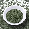 MIYUKI Delica Beads SEED-MY11-DB1135-2