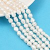 Natural Cultured Freshwater Pearl Beads Strands PEAR-P064-20C-04A-1