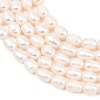 Natural Cultured Freshwater Pearl Beads Strands PEAR-D003-01D-06-4