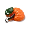 Autumn Theme Opaque Resin Pendants RESI-B011-15-4