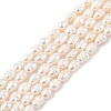 Natural Cultured Freshwater Pearl Beads Strands PEAR-I007-01B-02B-02-2