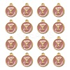 Golden Plated Alloy Enamel Charms ENAM-S118-07Y-2