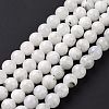 Natural Rainbow Moonstone Beads Strands G-I249-B04-03-4