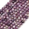 Natural Lepidolite/Purple Mica Stone Beads Strands G-G160-A01-01A-2