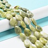 Natural Xinyi Jade/Chinese Southern Jade Beads Strands G-L242-34-2