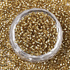 Glass Seed Beads SEED-S042-04B-07-2