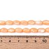 Natural Trochus Shell Beads Strands SHEL-K006-19-01G-4