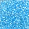 Transparent Colours Glass Seed Beads SEED-P007-02A-10-3