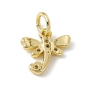 Brass Micro Pave Cubic Zirconia Charms ZIRC-F132-21G-2