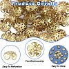 30Pcs Ion Plating(IP) 304 Stainless Steel Bead Caps STAS-YW0003-29-5