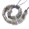 Natural Labradorite Beads Strands X-G-S345-8x11-001-2