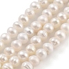 Natural Cultured Freshwater Pearl Beads Strands PEAR-C003-39-2