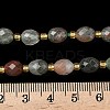 Natural Bloodstone/Heliotrope Stone Beads Strands G-F809-A13-01-5