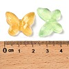 Transparent Resin Cabochon CRES-I044-06-3