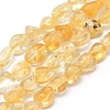 Natural Citrine Beads Strands G-P331-03A-1